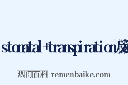 stomatal+transpiration反义词是什么意思的图片